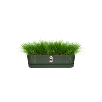 greenville pflanzgefäß lang 70cm laubgrün